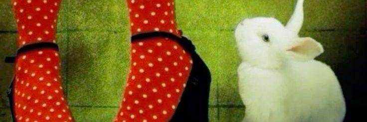 i07hhj's profile banner image