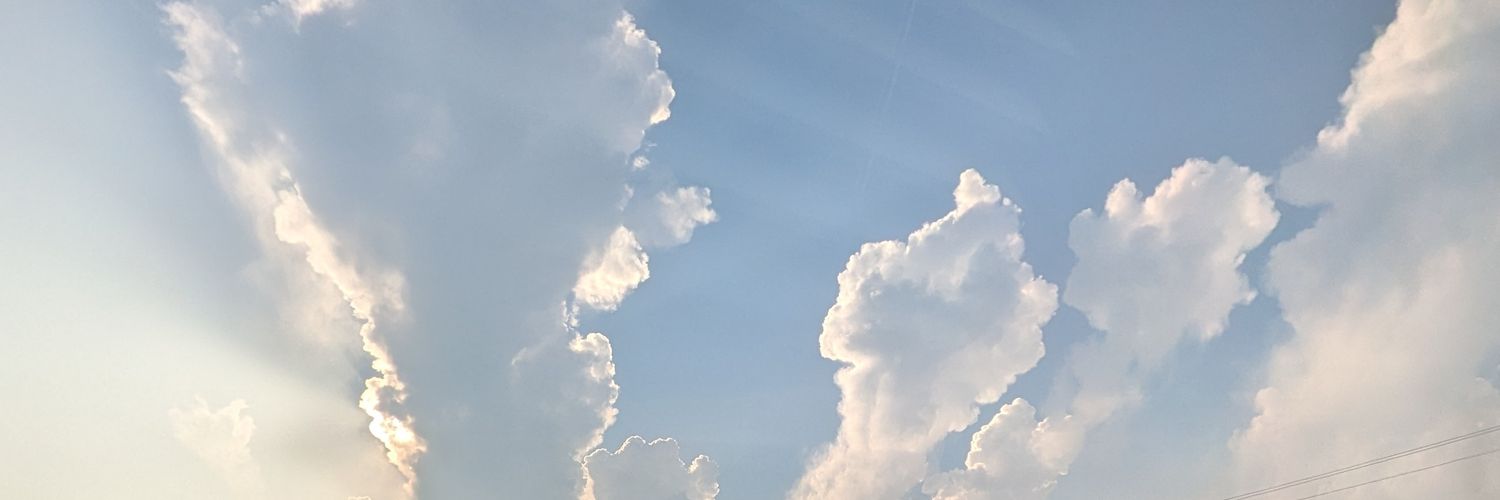 Lily Yates banner