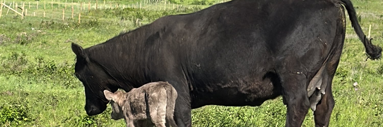 Tkcowboy's profile banner image
