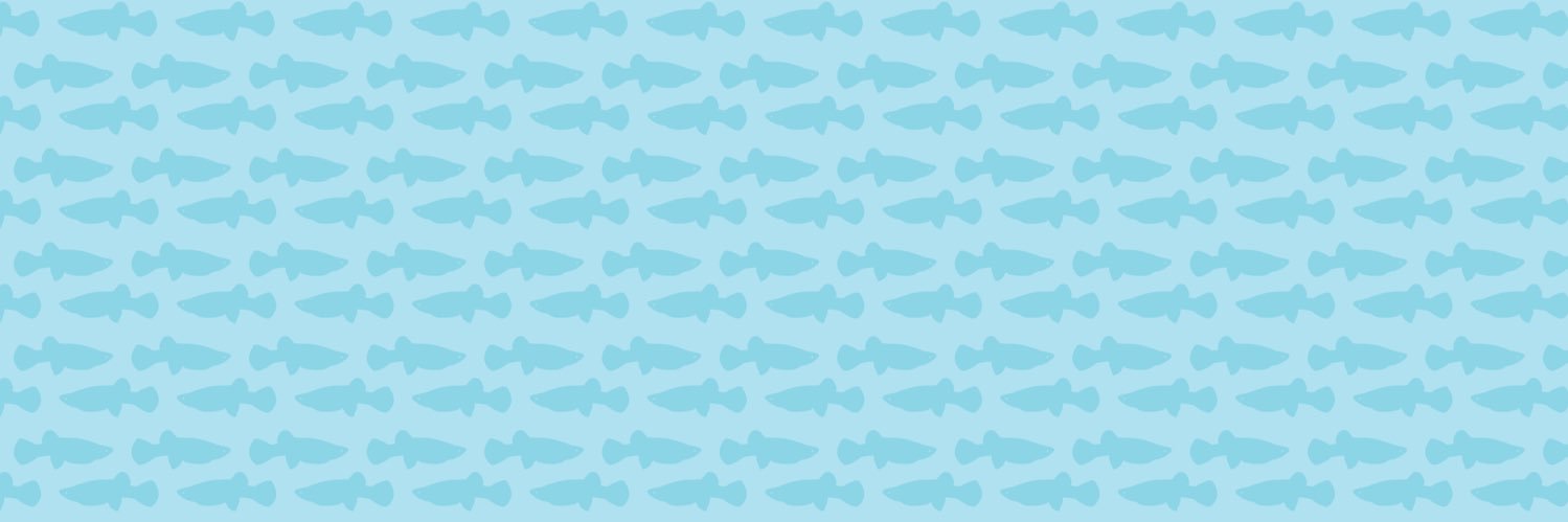 TalkstoFish's profile banner image