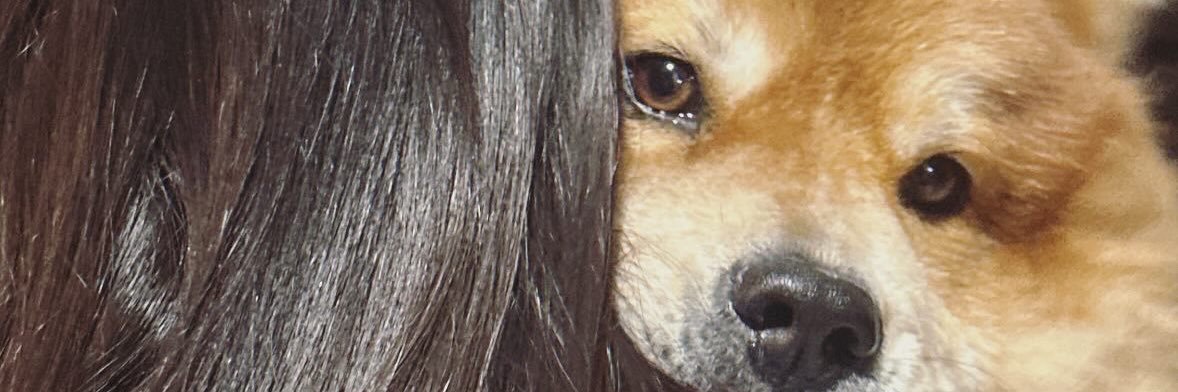 ItzelAreenas's profile banner image