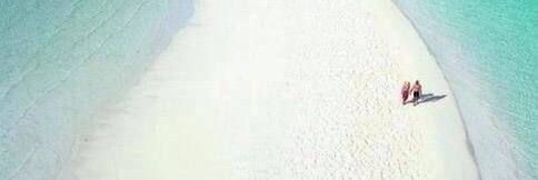 royanisi's profile banner image
