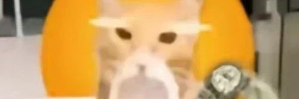 Record_Owo Profile Banner