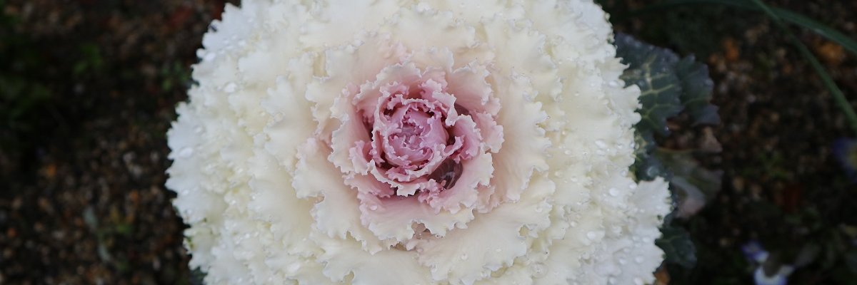 us007cn's profile banner image