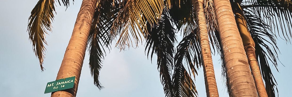 mariafernaandaf's profile banner image