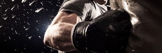 AllRounderFists's profile banner image