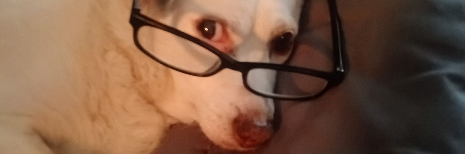 MANDY🇺🇸MYAMERICA🇺🇸🇺🇸💯 banner