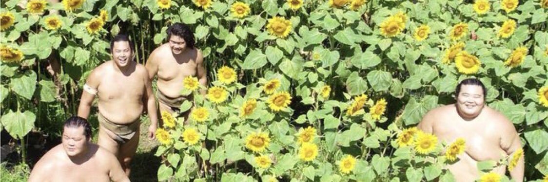 Banana McDanger banner