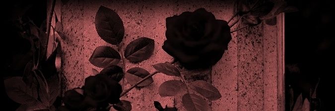 𝓢𝓪𝓷𝓳𝓲 banner