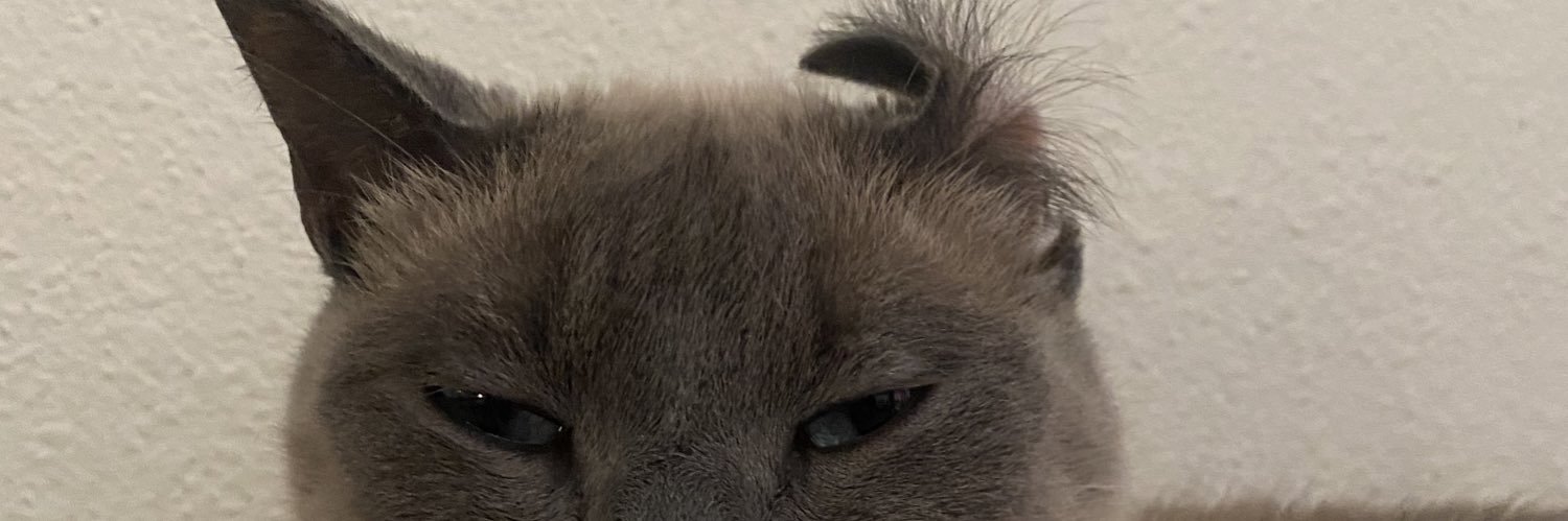 robynsoyy's profile banner image