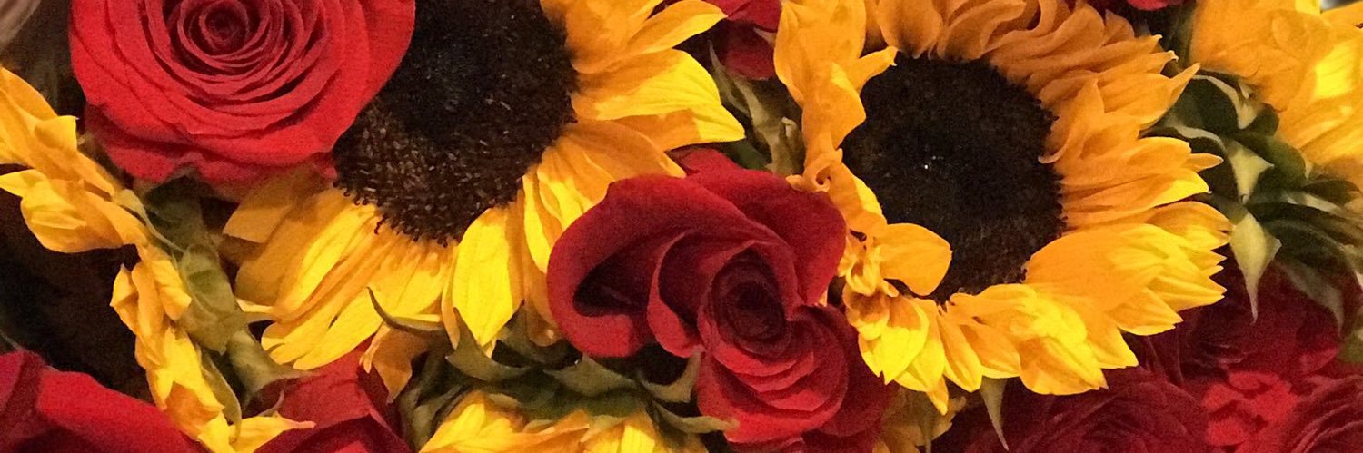 Kenzie_Cross6's profile banner image