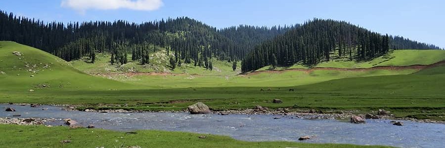 BANGUS VALLEY banner