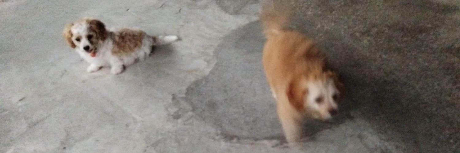 NihileGuy's profile banner image