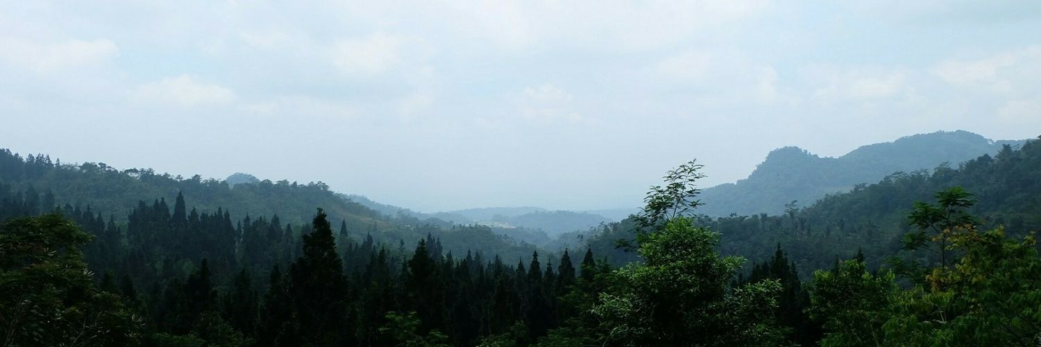 v banner