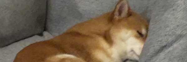 0x_vesper Profile Banner