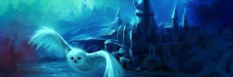 _alecita's profile banner image