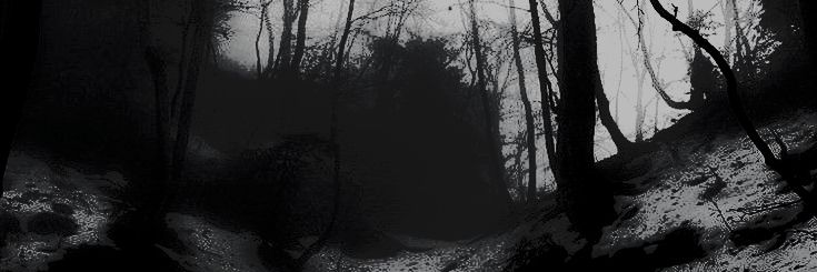 𝘺𝘰𝘶𝘯𝘨 – 𝘣𝘭𝘰𝘰𝘥. ’ banner