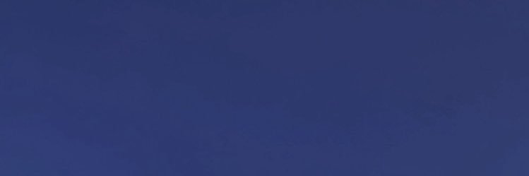 almondtroop's profile banner image