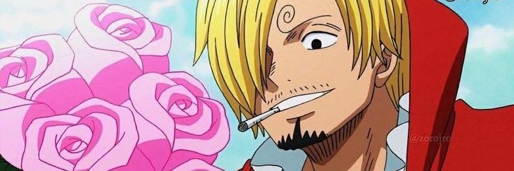 (HIATUS) Sanji Days banner
