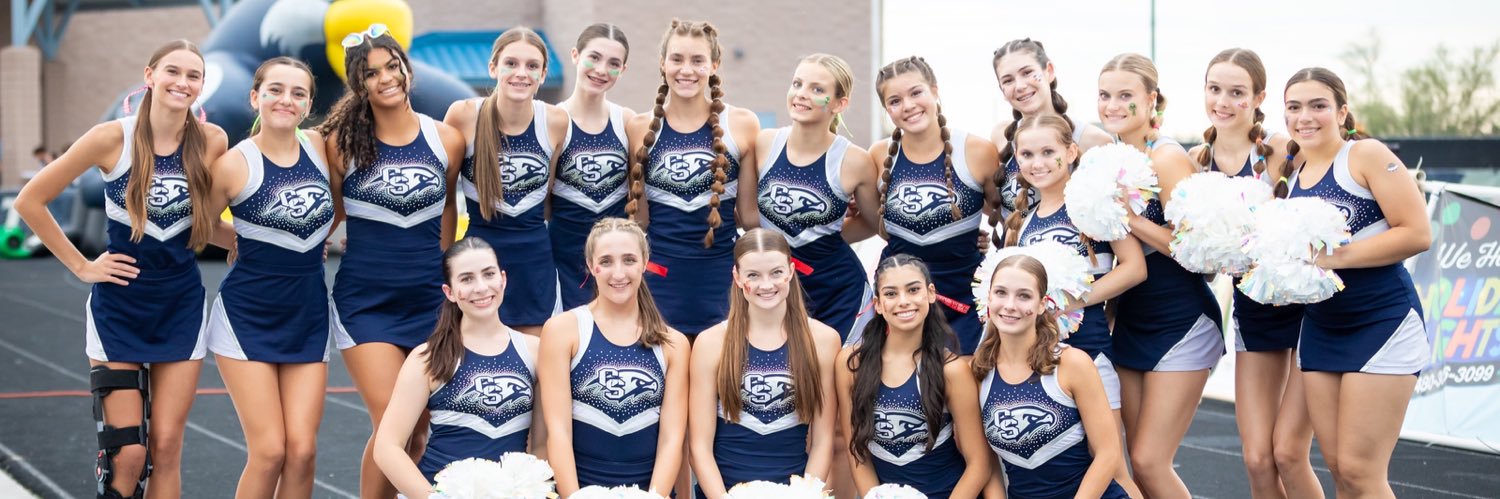 Cactus Shadows Pom banner