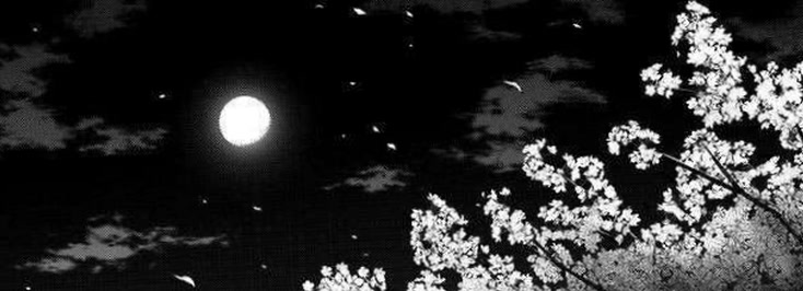 ribbonluuna7's profile banner image