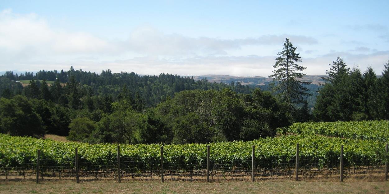 DocsRanchWine's profile banner image