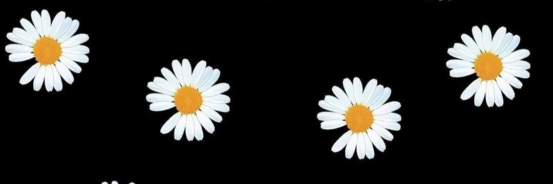 sabodough's profile banner image