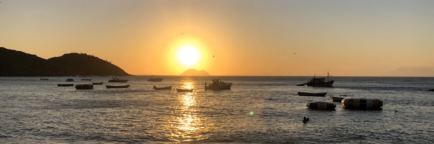 Tessel van Dongen banner