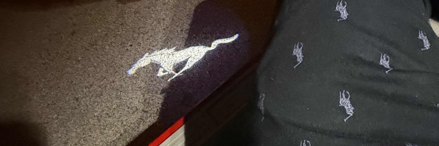 Polo banner