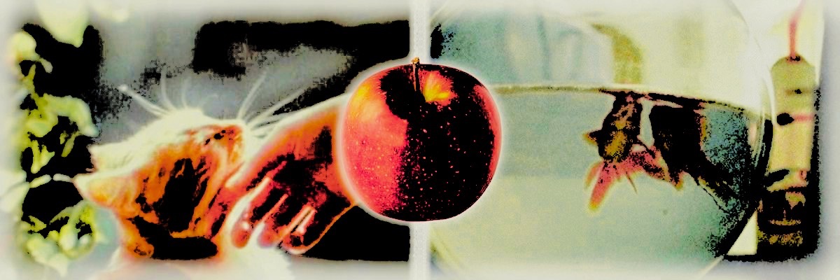 mew. banner