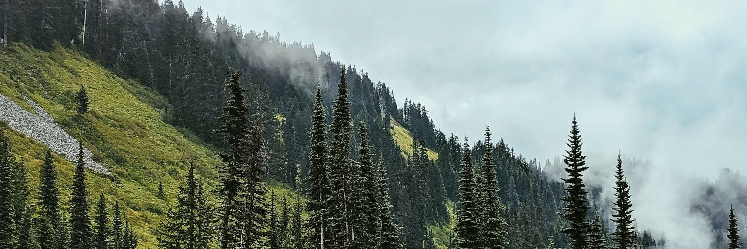 sharonjanaee's profile banner image