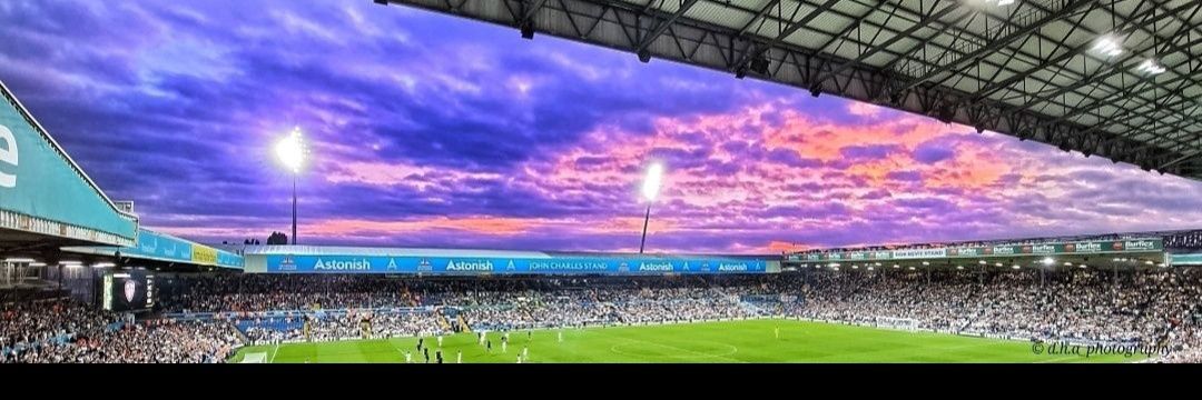 Beefy Roberts banner