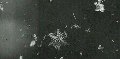 Kfas14's profile banner image