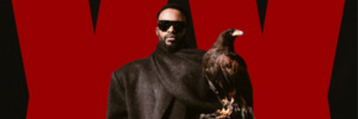 FallyipupaDiaryCA banner