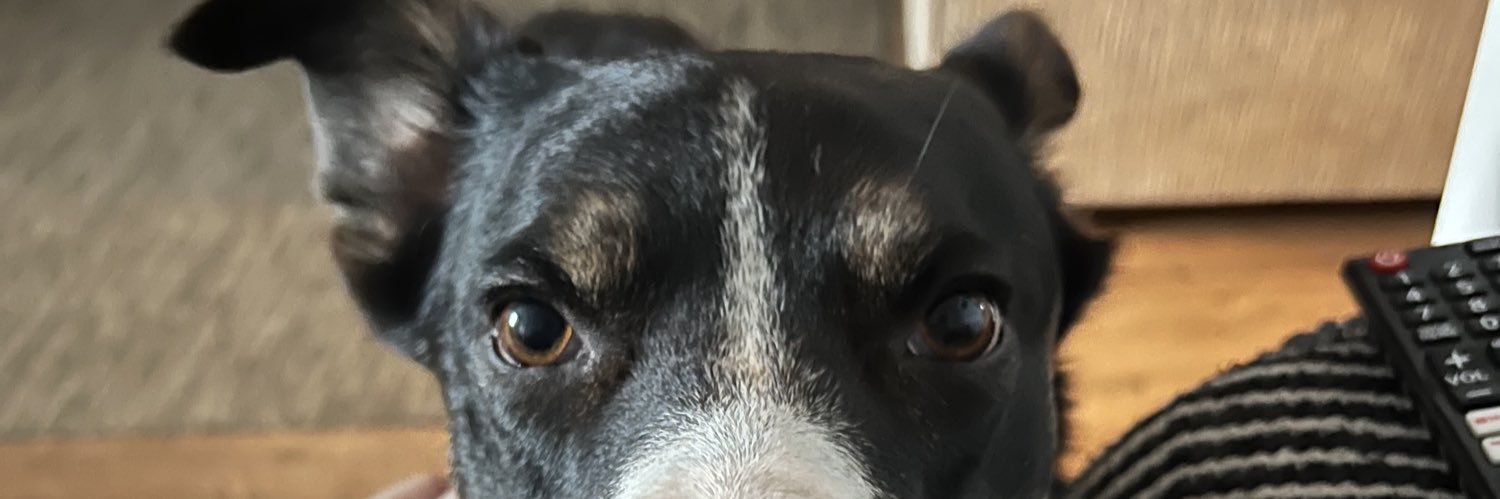 Acidtomtom's profile banner image