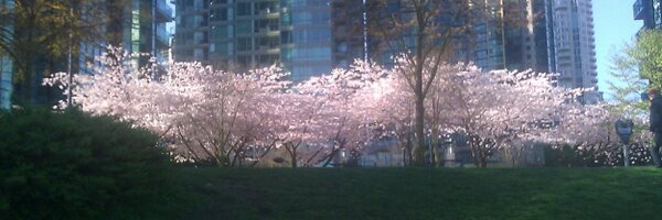 reneefountain Profile Banner