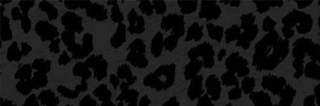 𝖙𝖆𝖞𝖑𝖔𝖗 banner