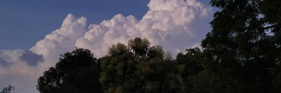 Chizuko_3th's profile banner image