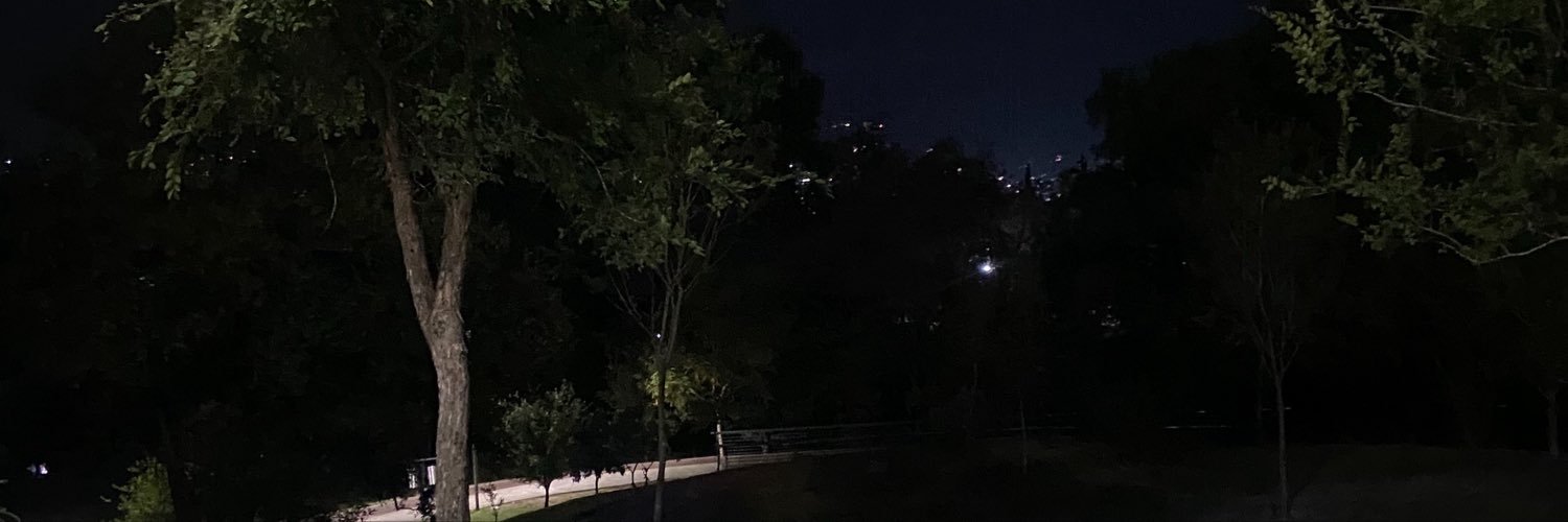 allarysan's profile banner image