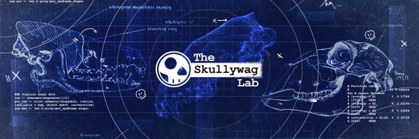 TheSkullywagLab Profile Banner