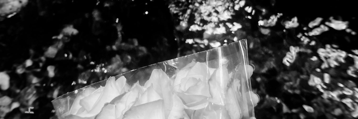 vi banner