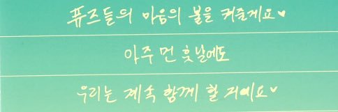 버들 banner