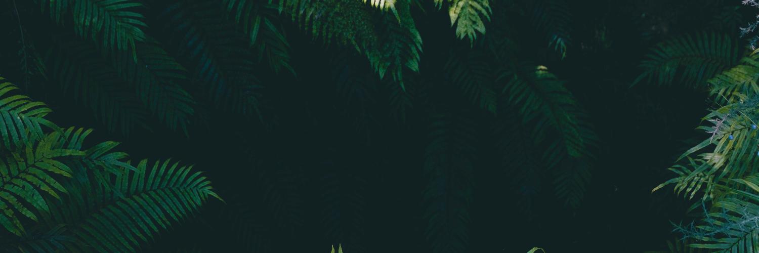 roypriyankaa's profile banner image