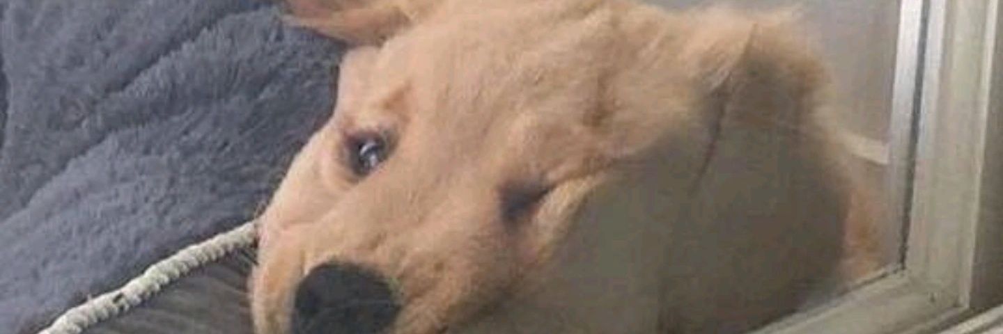 간장계란밥📸 banner