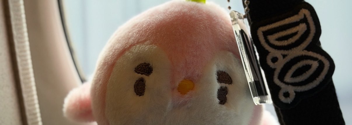 blooming__r__'s profile banner image