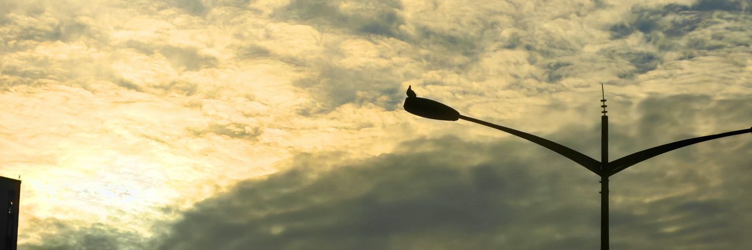 187j3x's profile banner image