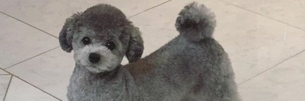zeromes2 Profile Banner