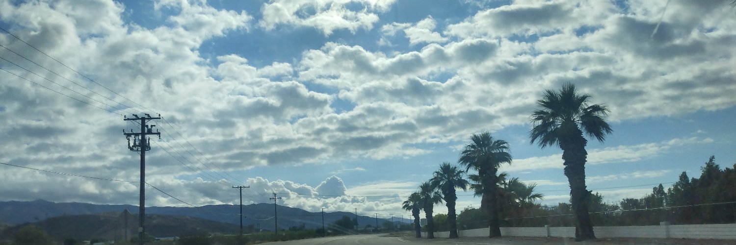 Littlebitpissy banner