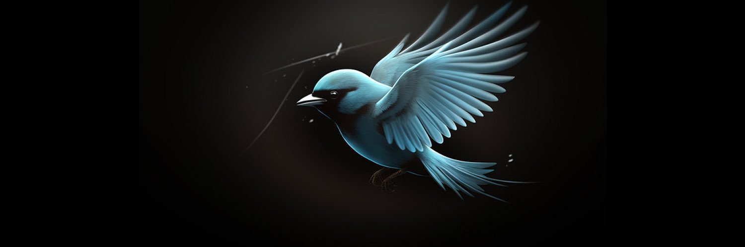 Cătălina Blue Bird banner