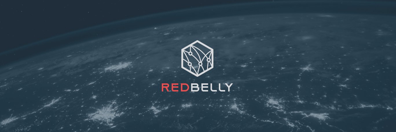 Redbelly Intern banner